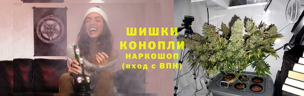 ПСИЛОЦИБИНОВЫЕ ГРИБЫ Богданович